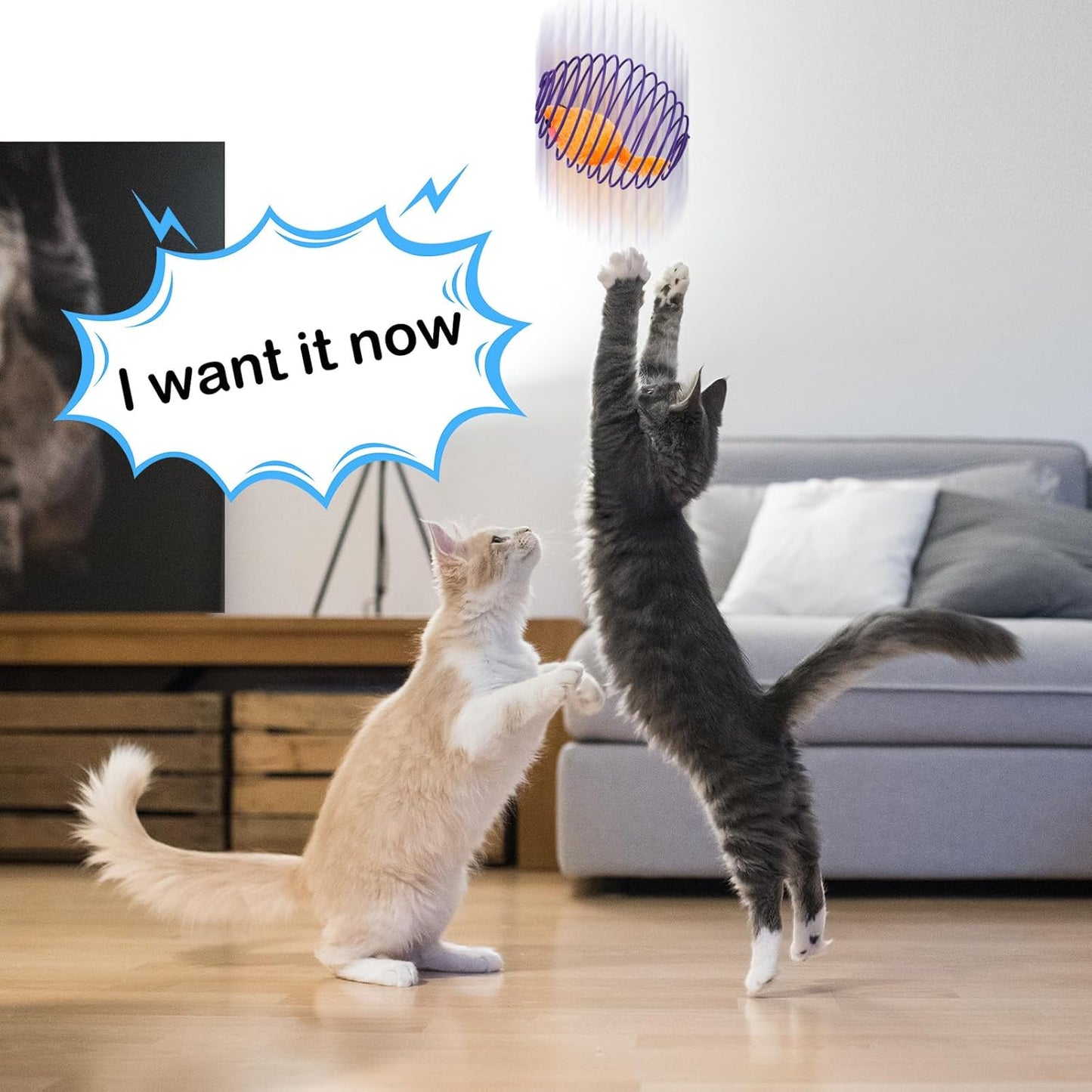 5-Piece Interactive Cat Spring Ball Toy Set - Colorful Stretchable Rolling Coils for Kittens and Cats (Multicolor)