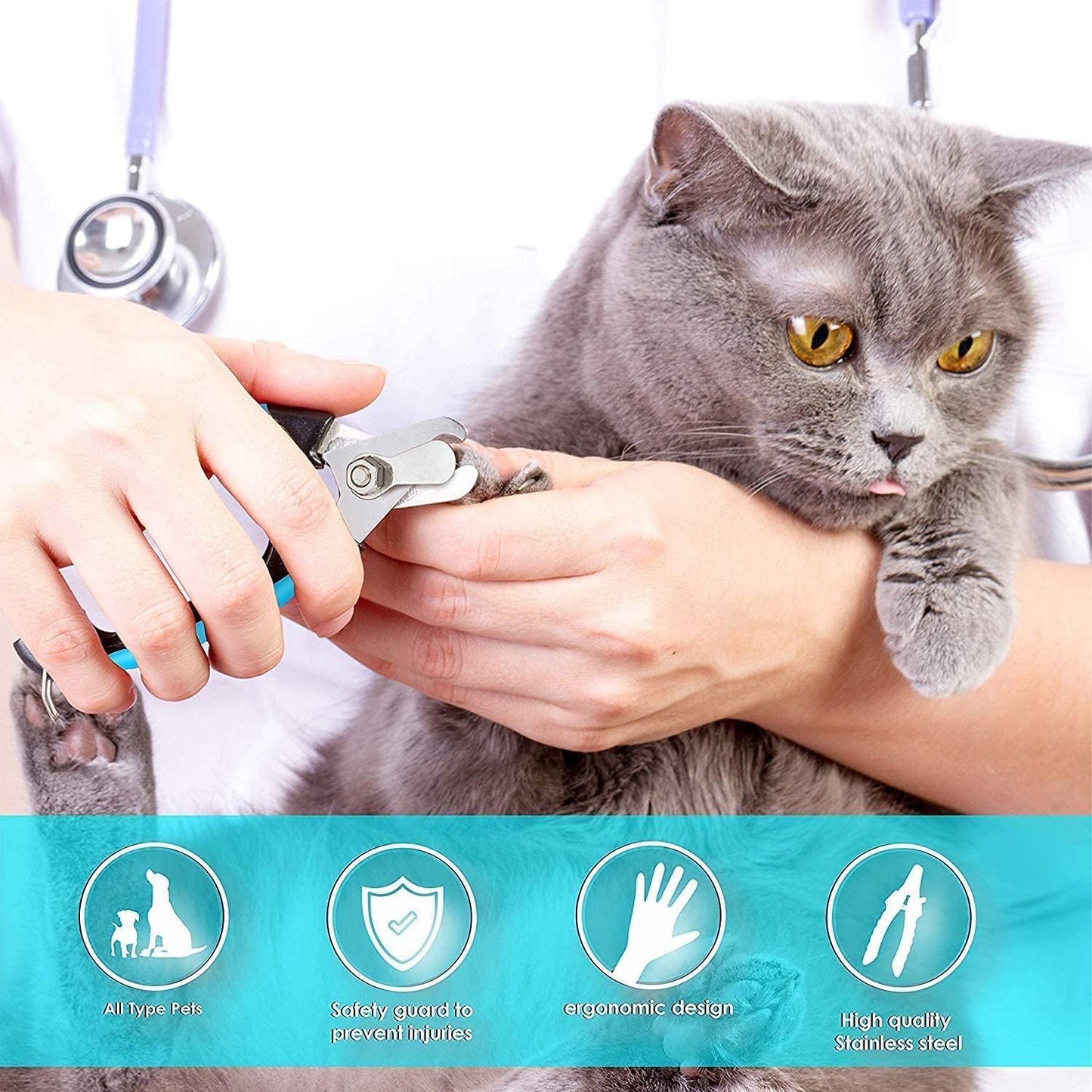 Professional Dog Nail Clippers with Safety Guard and Nail File for Small to Large Breeds