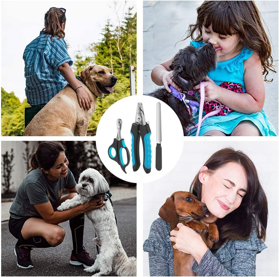 Dog Nail Clippers & Trimmer – Stainless Steel Blades with Safety Guard & Non-Slip Handles (Blue/Black)