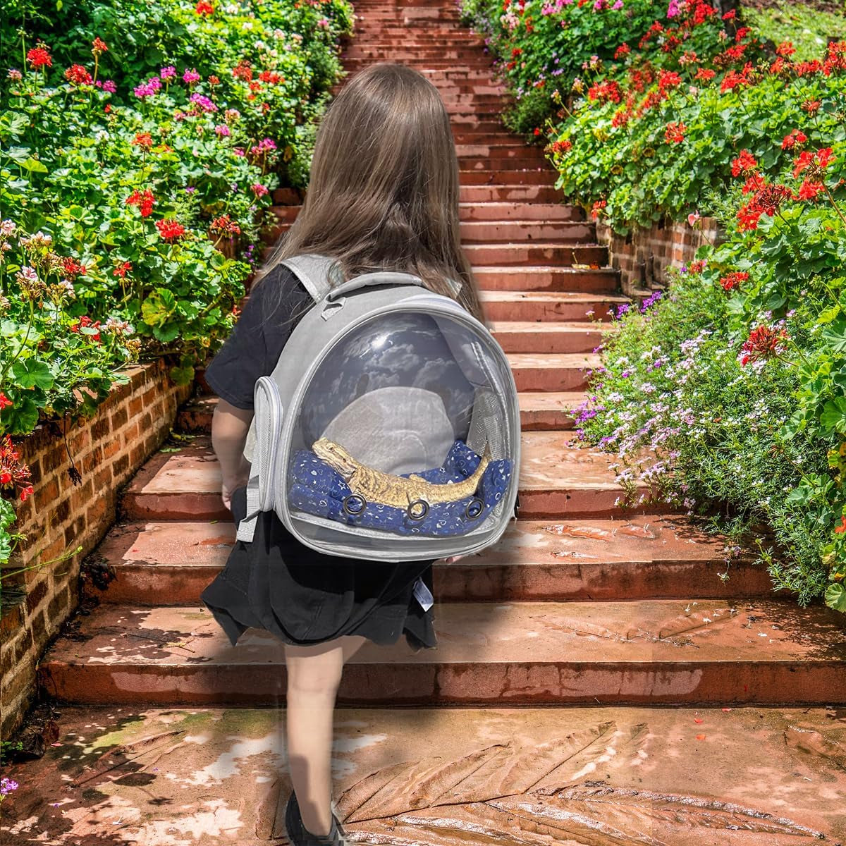 Small Animal Travel Backpack – Clear Bubble Window Carrier for Guinea Pigs, Reptiles & More (Grey, Airline-Approved)