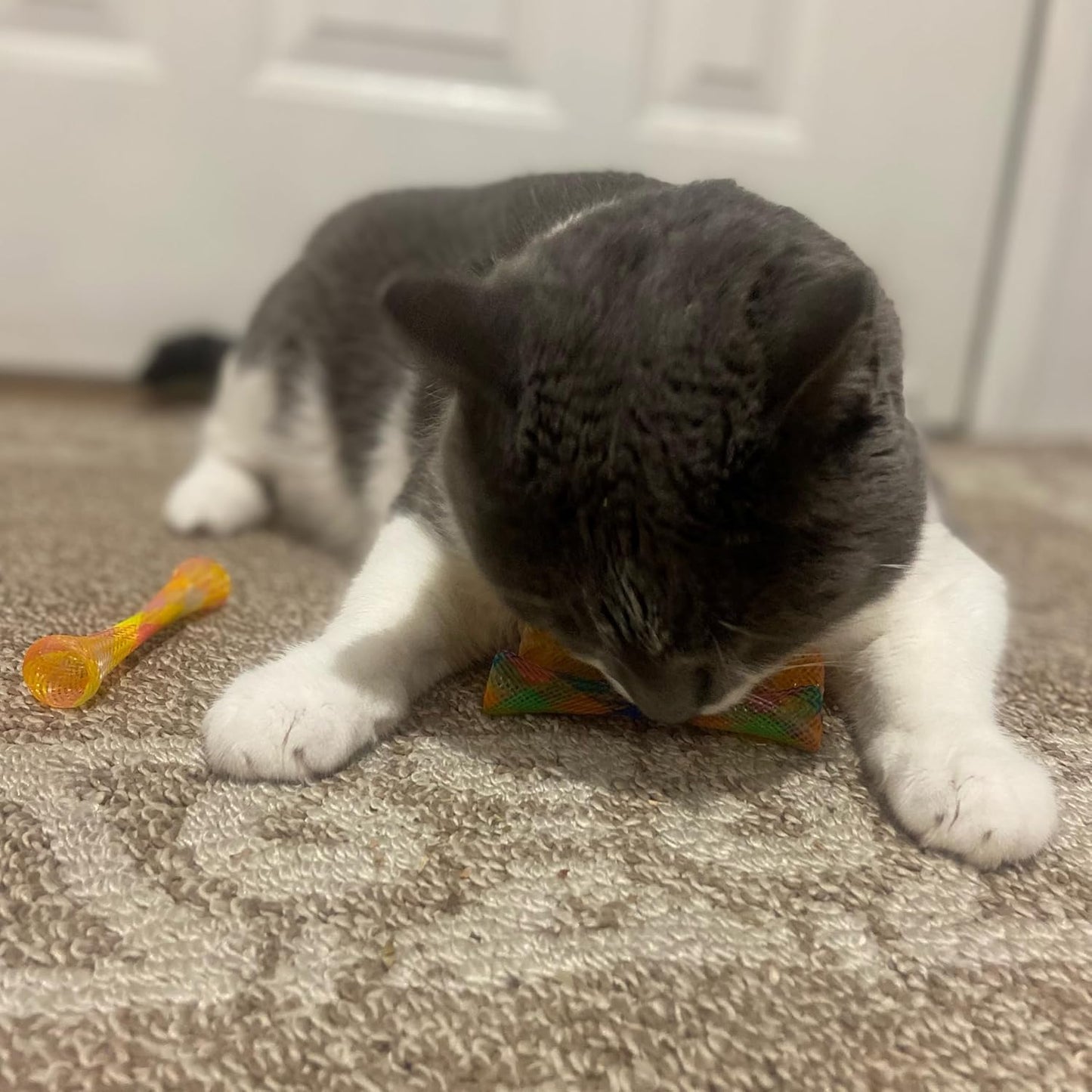 Kitty Fun Tubes Interactive Cat Toy Set | Bouncy Catnip-Infused Toys for Cats and Kittens | Pack of 3