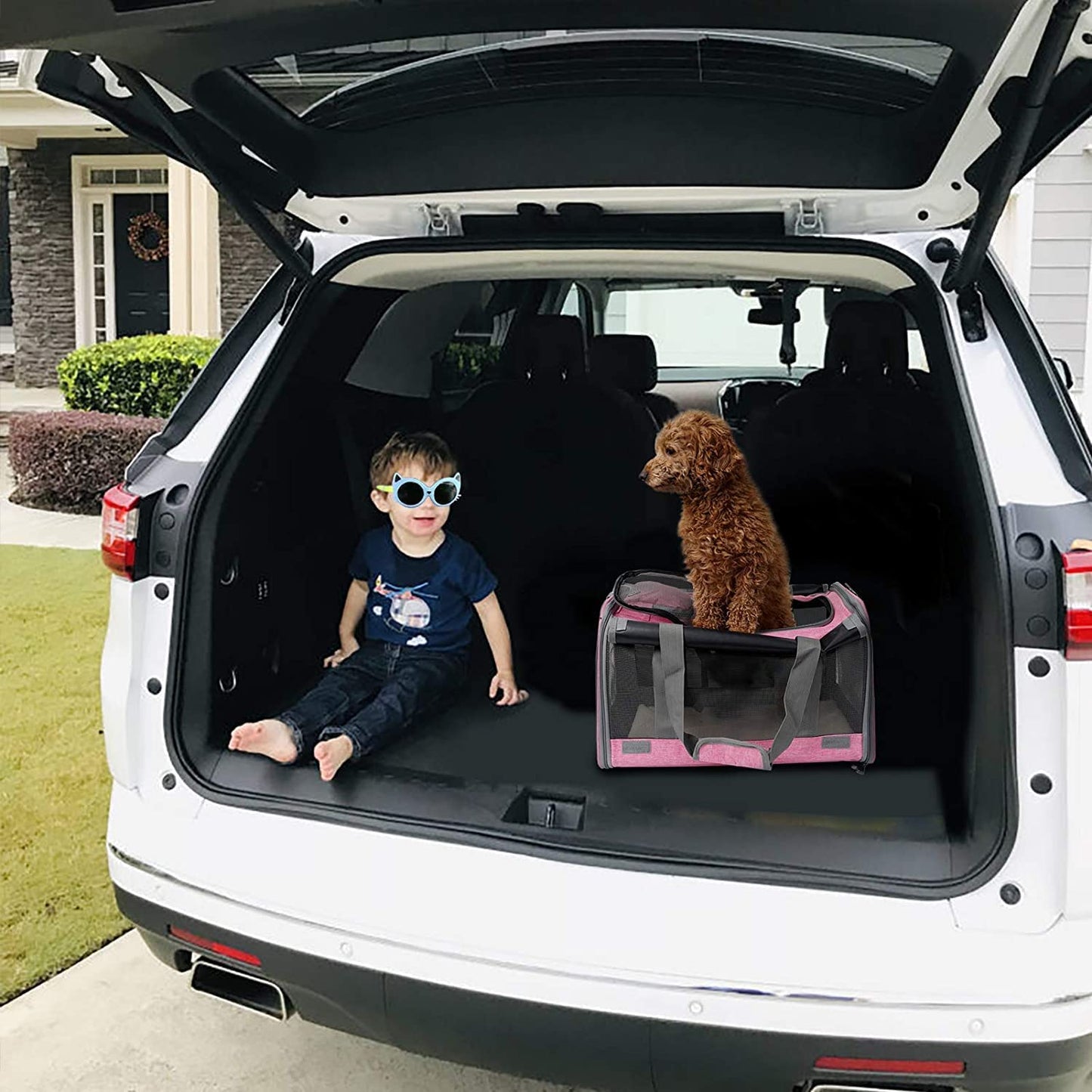 Spacious Pet Carrier – Soft Travel Bag for Medium to Large Cats & Small Dogs