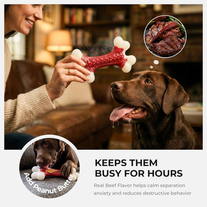 Kseroo Durable Dog Chew Toys for Aggressive Chewers: Beef-Flavored Hard Nylon Bone for Large and Medium Breeds (20-80 lbs), Red