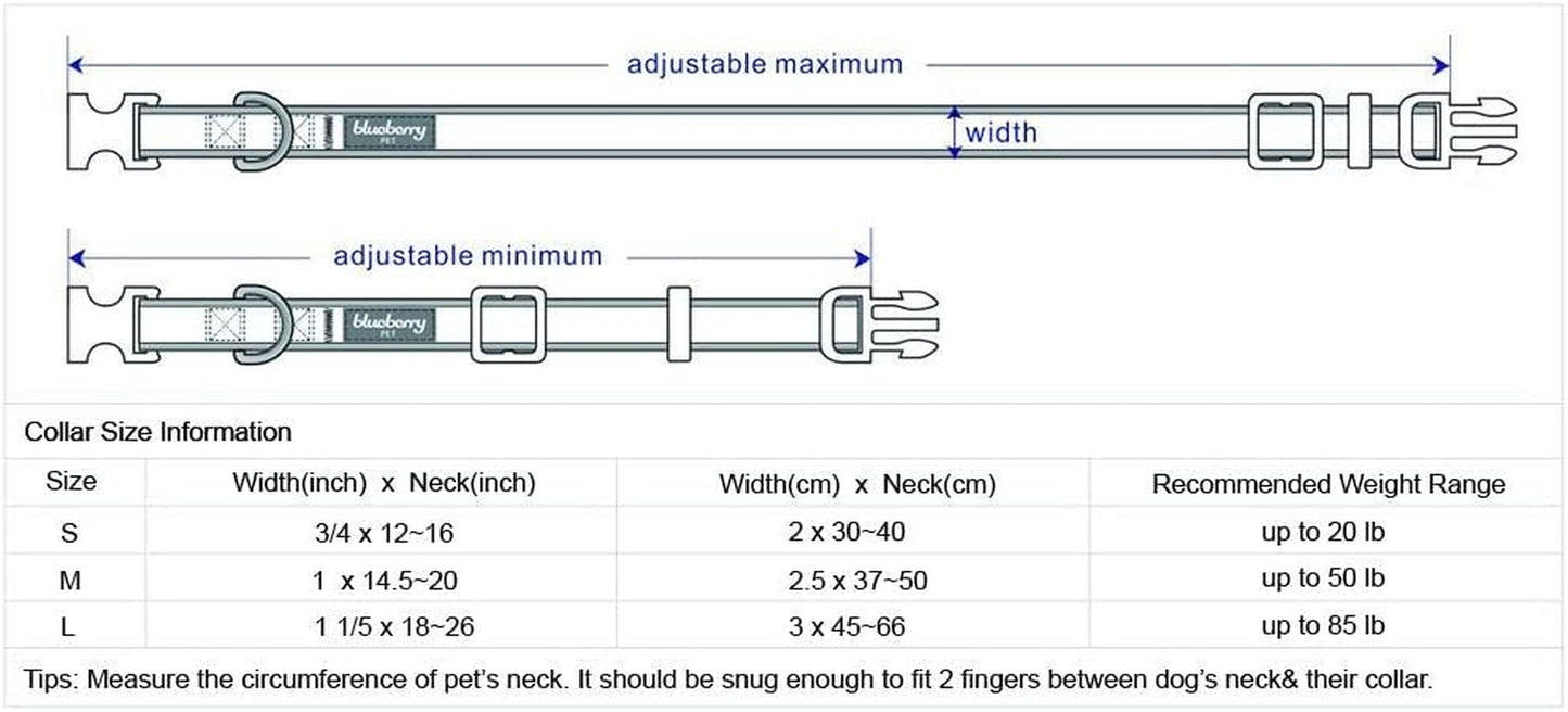 Reflective Neoprene-Padded Dog Collar – Large (18"–26")