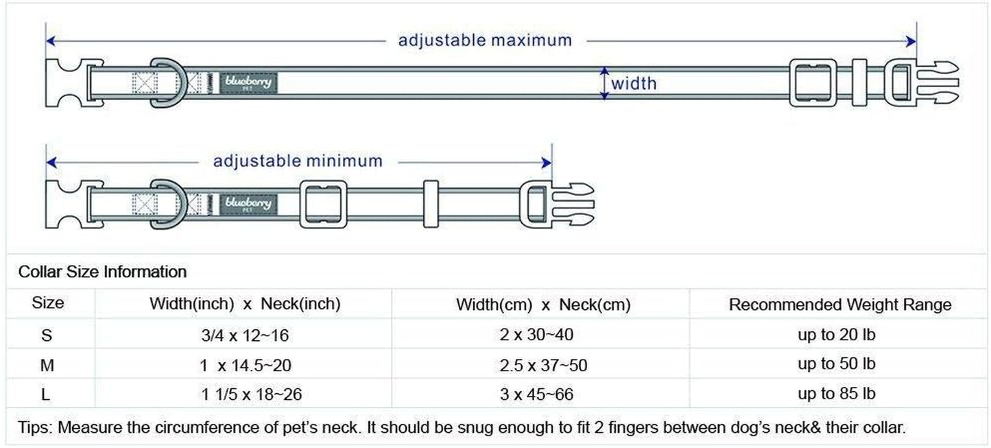 Reflective Neoprene-Padded Dog Collar – Large (18"–26")