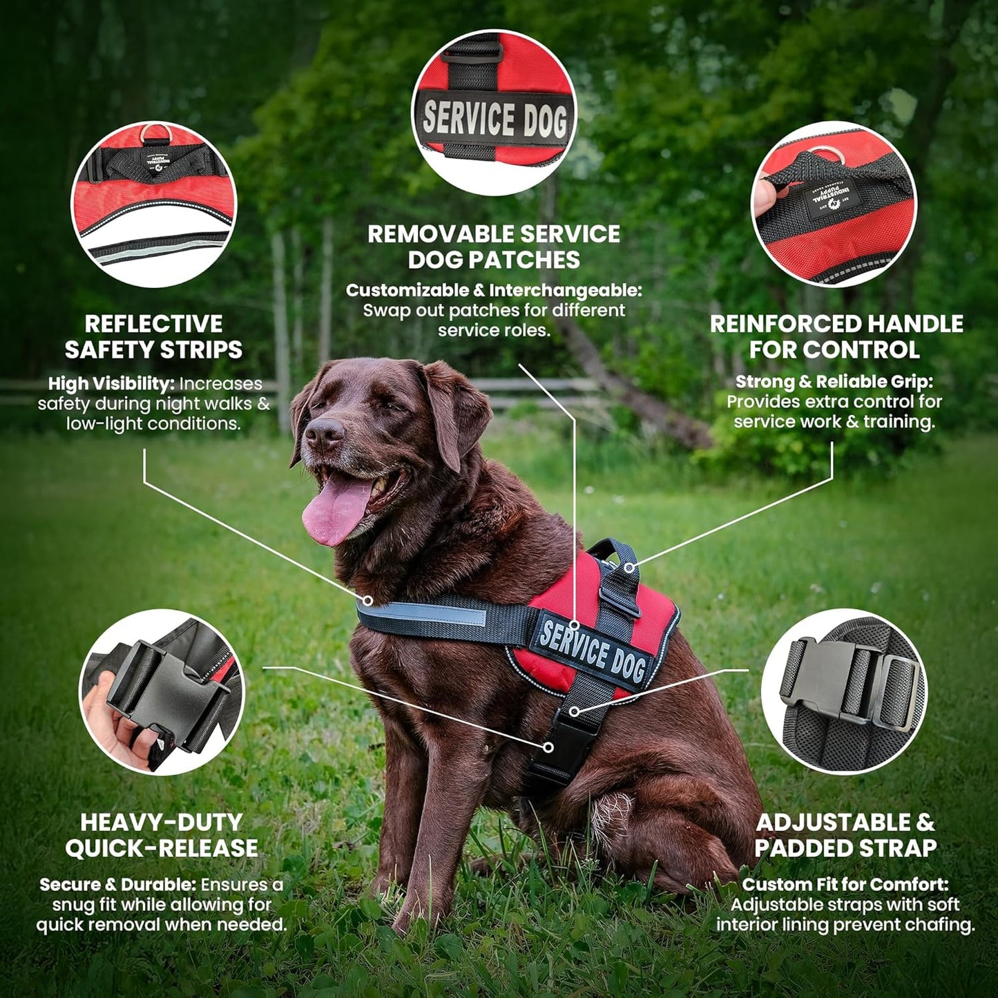 Heavy Duty Emotional Support Dog Vest Harness with Reflective Straps, Interchangeable Patches & Top Handle - ESA Dog Vest in 8 Sizes, Durable Service Harness for Working and Support Dogs
