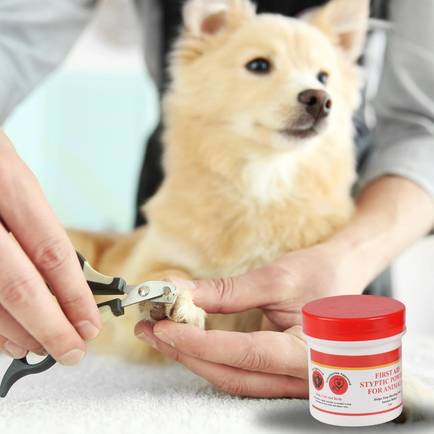 G.B.S Styptic Powder for Pets (1 Oz) - Rapid Blood Coagulation Powder for Dogs, Cats, and Birds - Ideal for Nail Clipping, Cuts, and Grooming