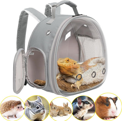 Small Animal Travel Backpack – Clear Bubble Window Carrier for Guinea Pigs, Reptiles & More (Grey, Airline-Approved)