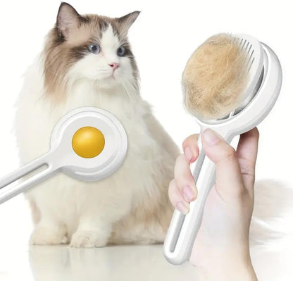 3 in 1 Cat Steam Brush 