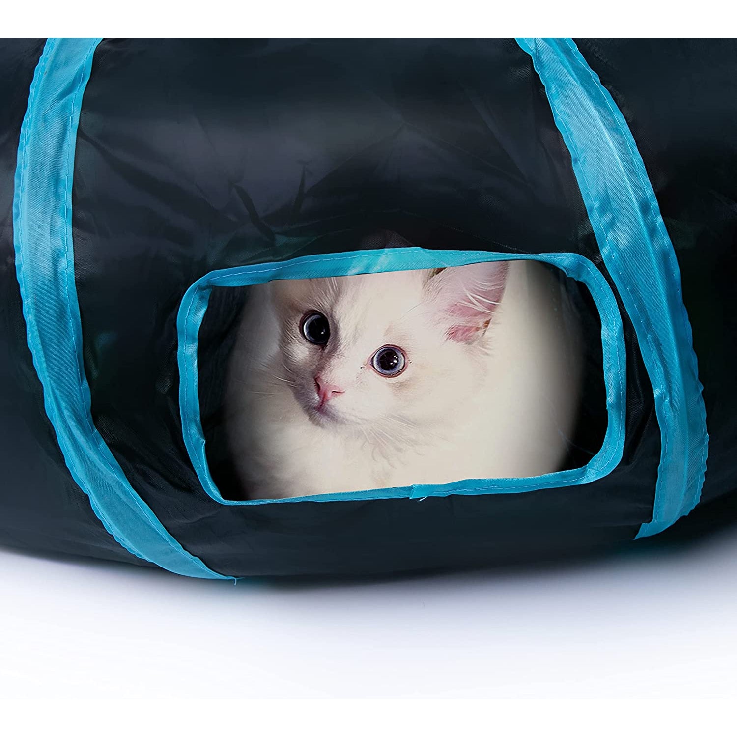 Collapsible Cat Tunnel - Interactive 2-Way Play Maze for Indoor Cats, Kittens, and Small Pets with Play Ball