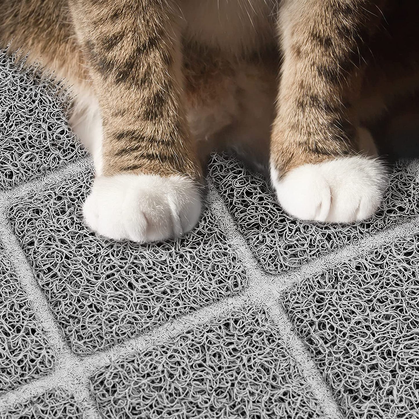 Premium Cat Litter Mat – Waterproof, Non-Slip & Soft on Paws, Easy to Clean