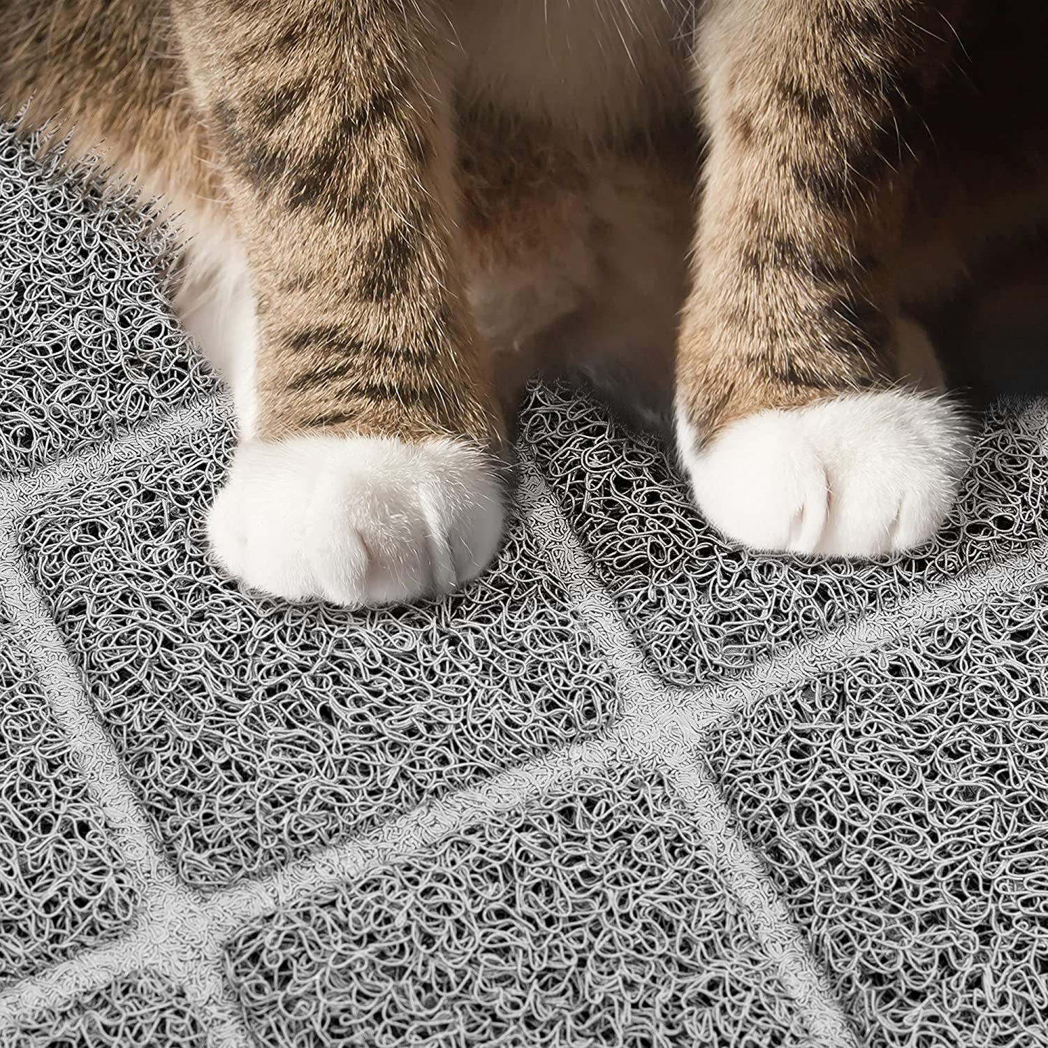 Premium Cat Litter Mat – Waterproof, Non-Slip & Soft on Paws, Easy to Clean