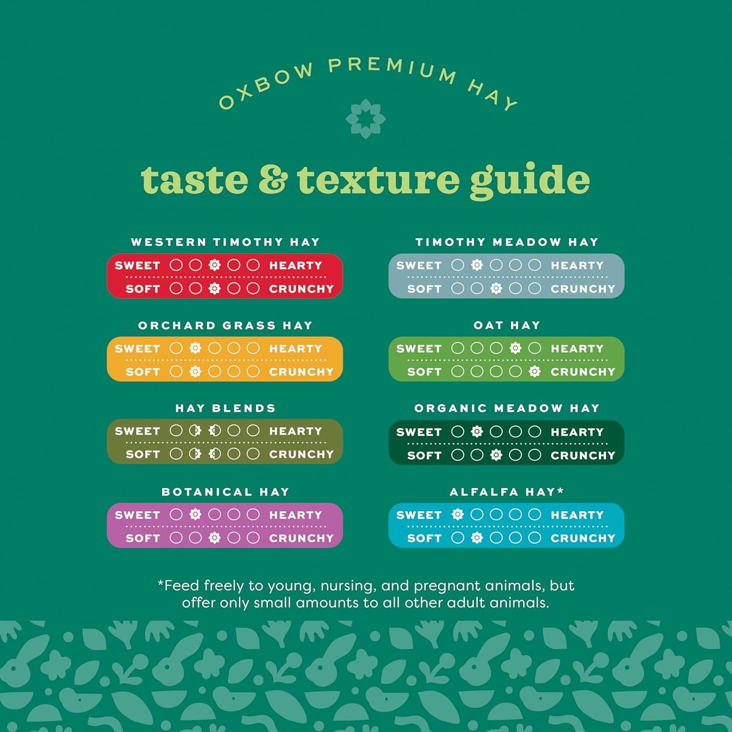 Animal Health Western Timothy Hay, Guinea Pig Hay, Small Pet Bunny Supplies, All Natural Grass for Guinea Pig, Bunny, Chinchilla & Hamster,  Rabbit Supplies for Bunnies, 90 Oz. Bag