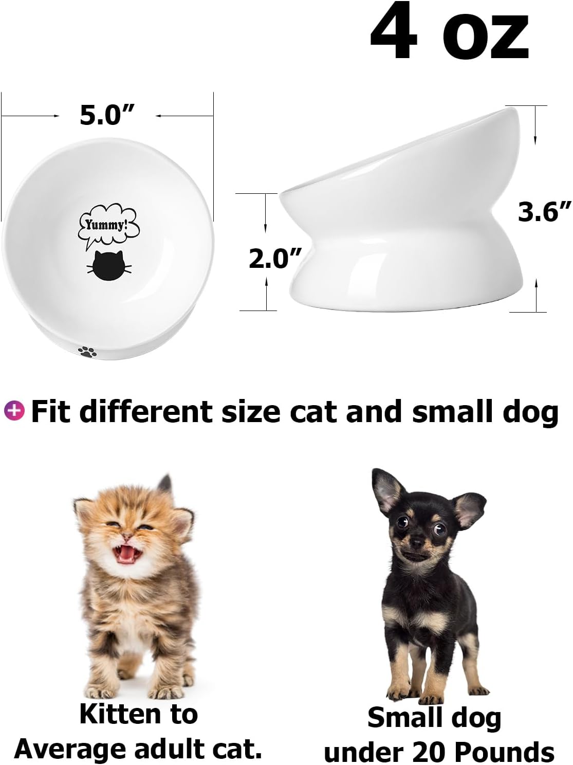 Ceramic Elevated Bowl – For Flat-Faced Cats & Small Dogs, Dishwasher Safe (5'', White)