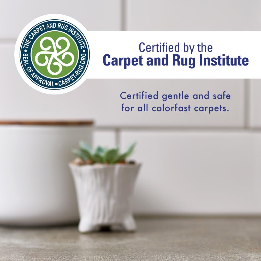 Rocco & Roxie Enzymatic Stain and Odor Eliminator for Pets, 32oz - Effective Carpet Cleaner and Urine Remover for Cats and Dogs