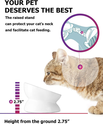 Ceramic Elevated Bowl – For Flat-Faced Cats & Small Dogs, Dishwasher Safe (5'', White)