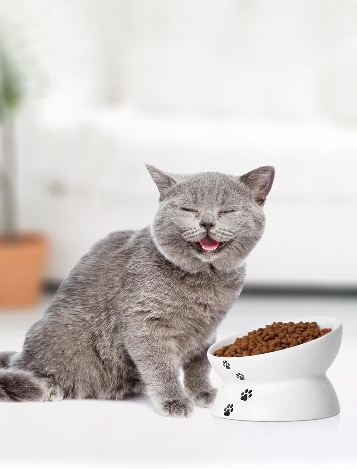 Ceramic Elevated Bowl – For Flat-Faced Cats & Small Dogs, Dishwasher Safe (5'', White)