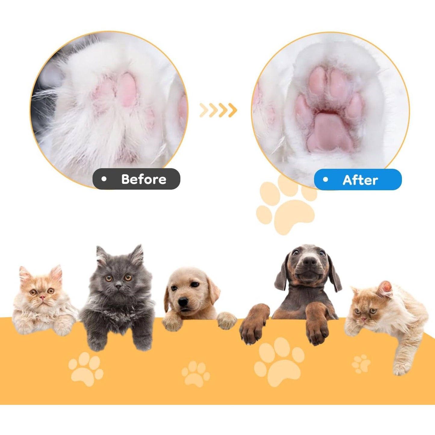 Waterproof Rechargeable Pet Hair Trimmer with LED Light for Paws, Eyes, Ears, Face, and Buttocks - Quiet Operation for Small Dogs and Cats