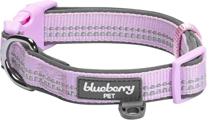 Reflective Neoprene-Padded Dog Collar – Large (18"–26")