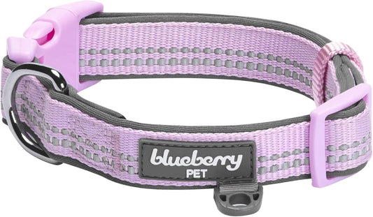 Reflective Neoprene-Padded Dog Collar – Large (18"–26")