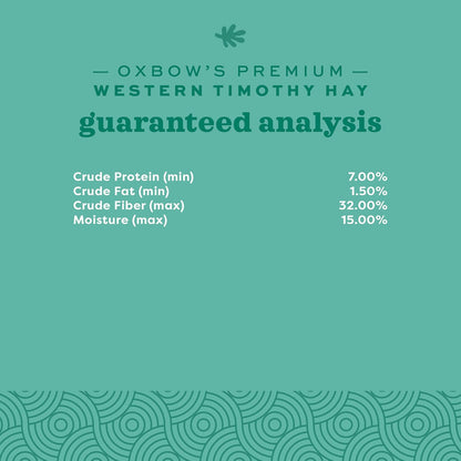 Animal Health Western Timothy Hay, Guinea Pig Hay, Small Pet Bunny Supplies, All Natural Grass for Guinea Pig, Bunny, Chinchilla & Hamster,  Rabbit Supplies for Bunnies, 90 Oz. Bag