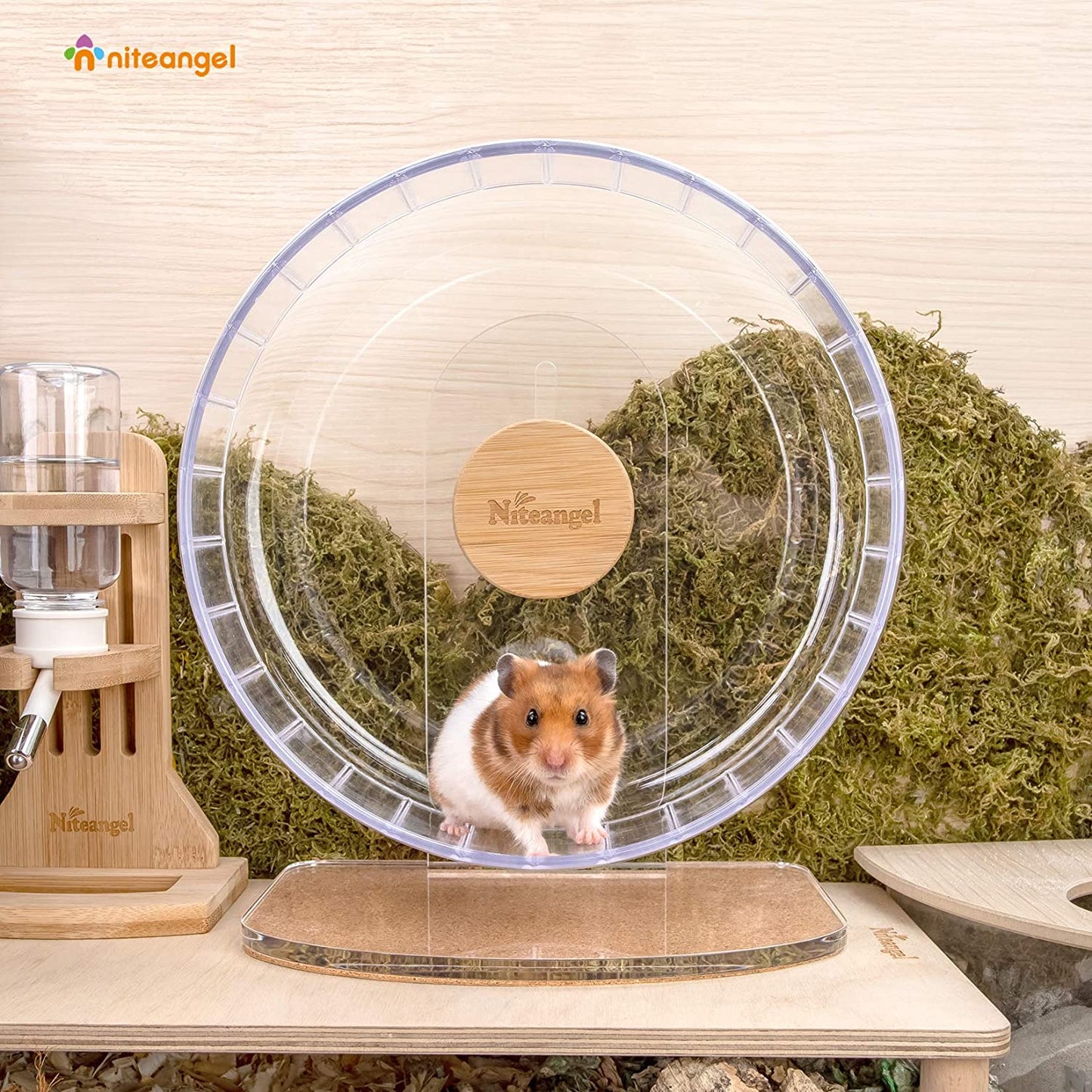 Silent Spinner Hamster Wheel – Adjustable Stand, Transparent (Medium) for Hamsters, Gerbils & Mice