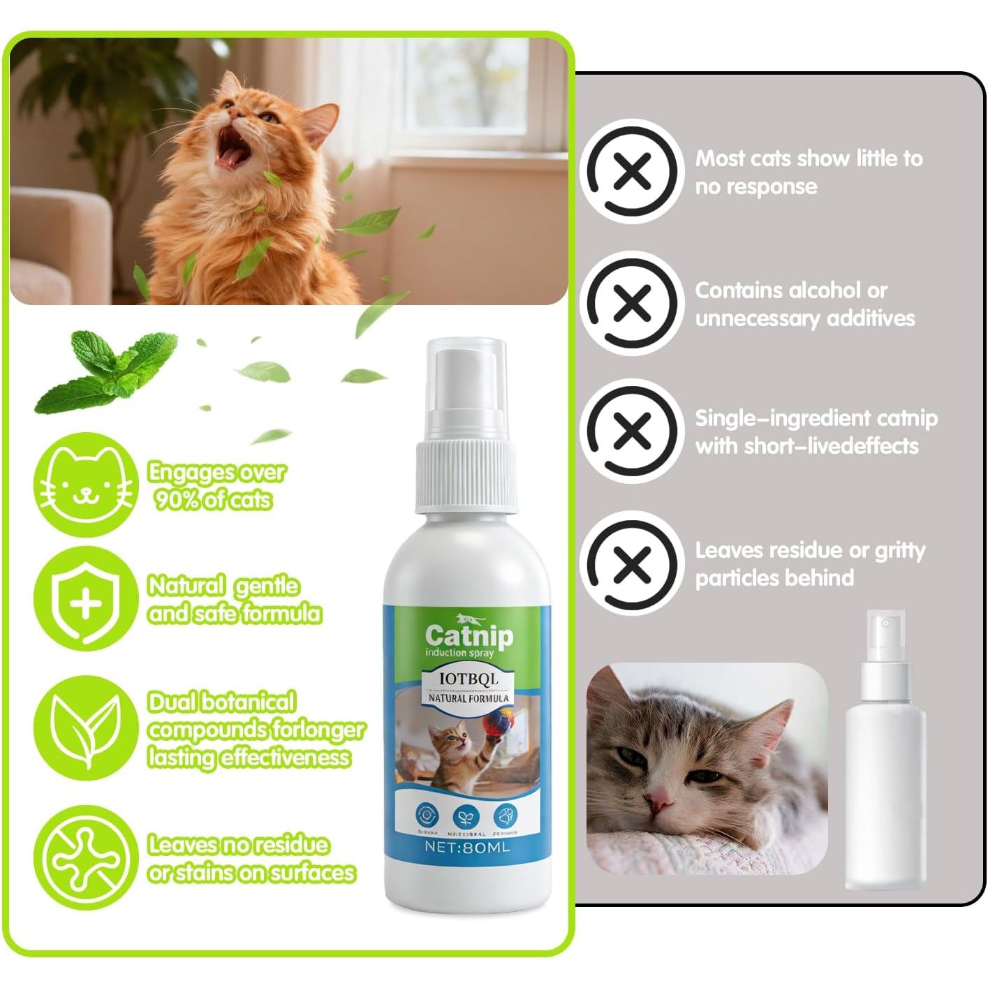 Premium Catnip Spray for Cats – 100% Natural Ingredients, Boosts Energy,Relieves Stress – Renews Toys, Reduces Scratching, Easy-To-Use & Mess-Free 2.71 Fl OZ (Blue-Green, M)