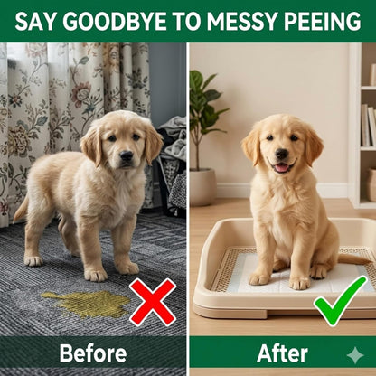 Dog Potty Training Spray - Indoor and Outdoor Training Aid for Potty Pads, Grass, and Patios, Gentle Guidance Solution for New Dogs and Puppies