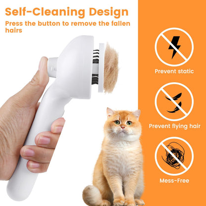 3 in 1 Cat Steam Brush 