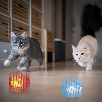5-Piece Interactive Cat Spring Ball Toy Set - Colorful Stretchable Rolling Coils for Kittens and Cats (Multicolor)