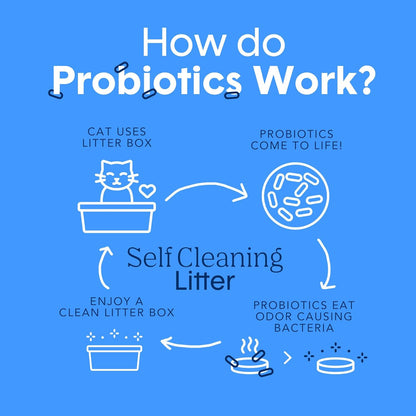 Boxie Probiotic Cat Litter - 40 Days of Odor Control, Clumping Clay, Dust-Free & Fragrance-Free for a Cleaner Home