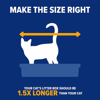 Arm & Hammer Rimmed Cat Litter Box - High-Sided Design with Odor Protection, Perfect for Indoor Cats