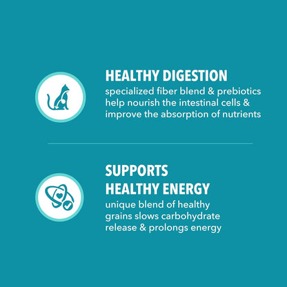 IAMS Proactive Health Indoor Weight Control & Hairball Care Adult Dry Cat Food, Salmon Recipe, 3.5 Lb. Bag