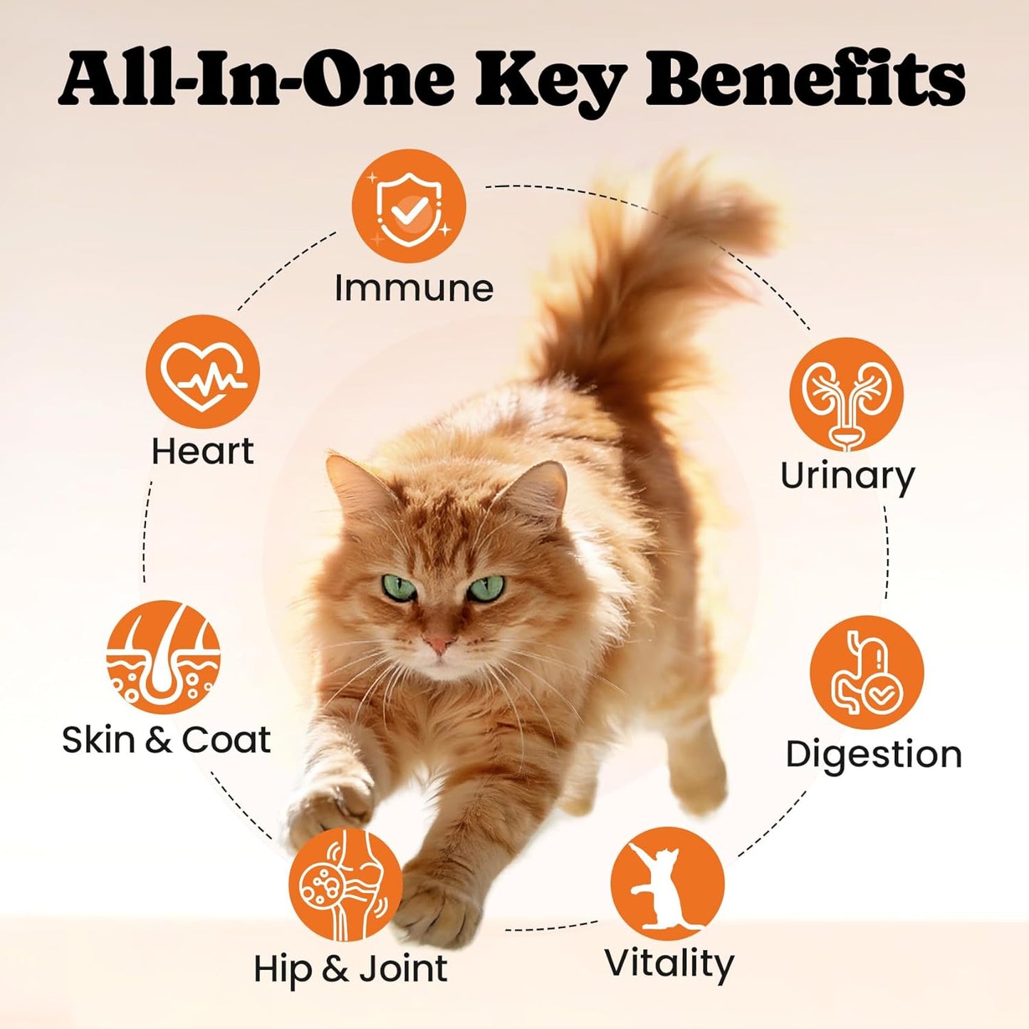 Cat Multivitamin Supplement with L-Lysine and Taurine – 12 Essential Vitamins and 5 Minerals for Immune, Joint, and Skin Support – 450 Chews