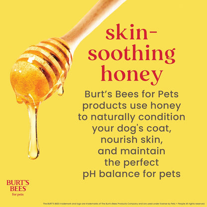 Burt’S Bees for Pets Hypoallergenic Cat Shampoo with Shea Butter and Honey, Gentle Kitten Shampoo for Indoor Cats with Dry or Sensitive Skin, Cat Bathing Supplies, 10 Fl Oz