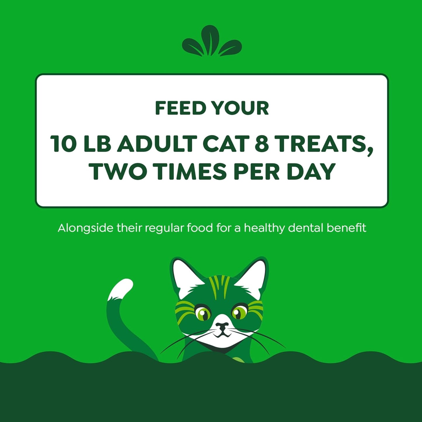 Delicious Greenies Feline Adult Dental Cat Treats - Oven Roasted Chicken Flavor, 9.75 Oz. Tub for Healthy Teeth and Fresh Breath