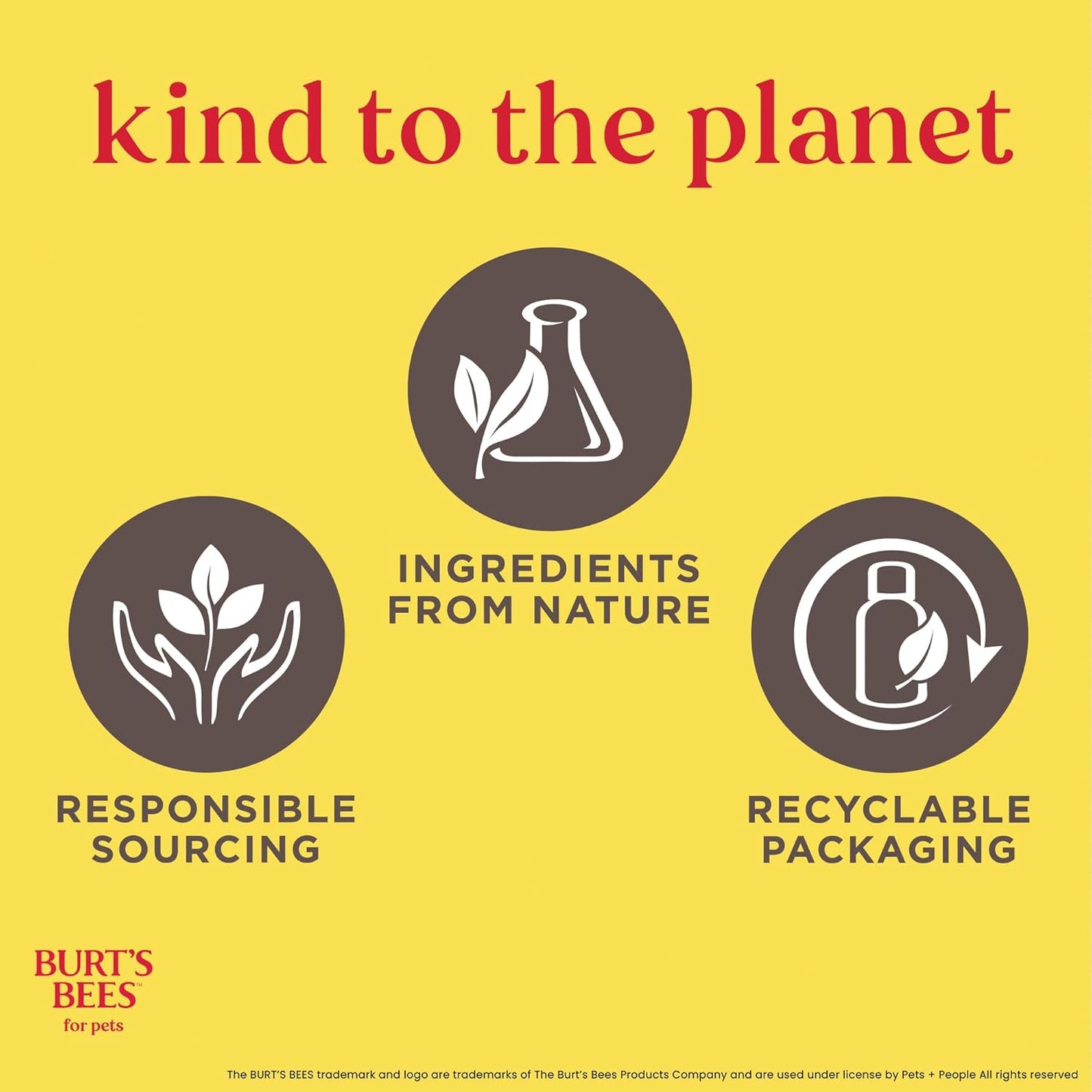 Burt’S Bees for Pets Hypoallergenic Cat Shampoo with Shea Butter and Honey, Gentle Kitten Shampoo for Indoor Cats with Dry or Sensitive Skin, Cat Bathing Supplies, 10 Fl Oz