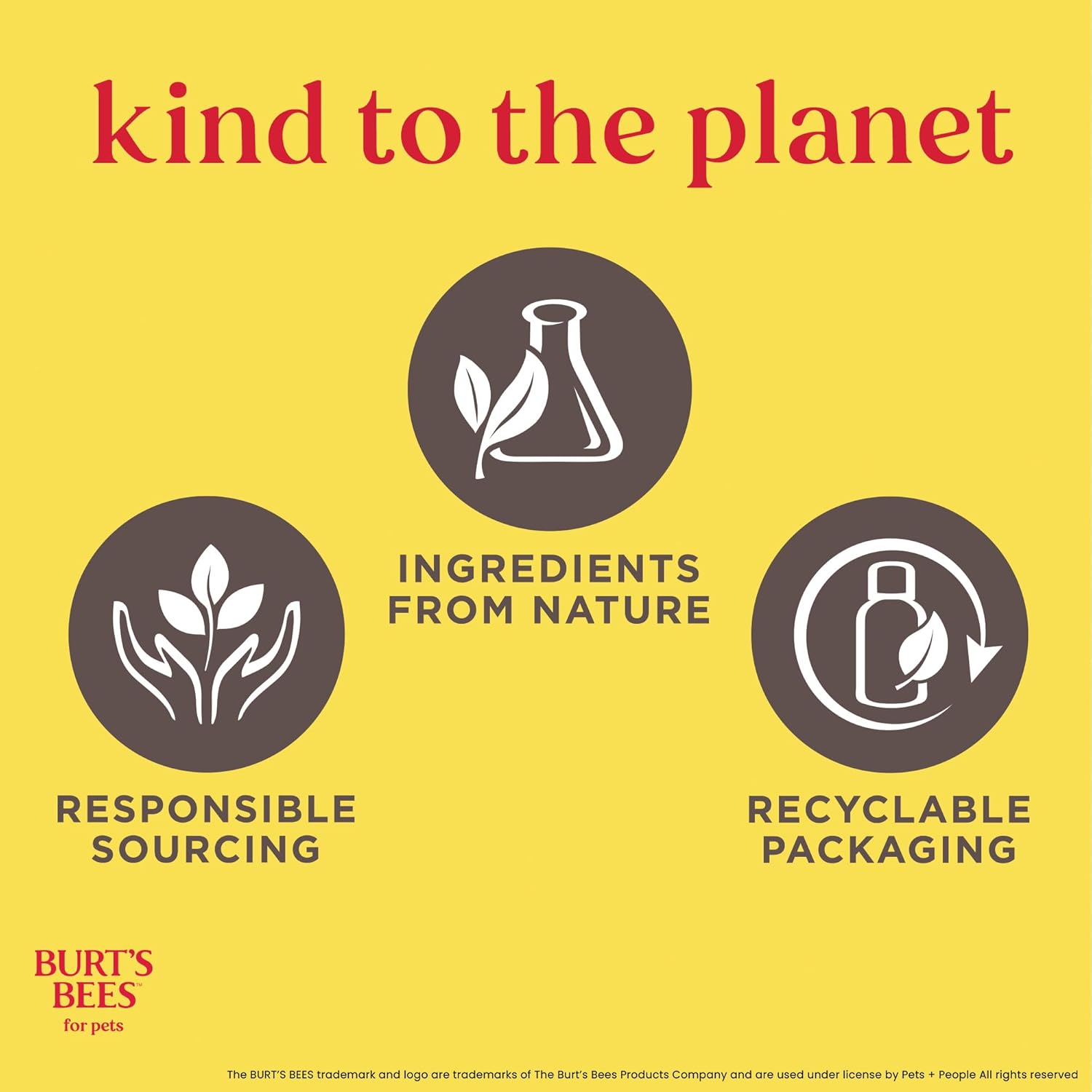 Burt’S Bees for Pets Hypoallergenic Cat Shampoo with Shea Butter and Honey, Gentle Kitten Shampoo for Indoor Cats with Dry or Sensitive Skin, Cat Bathing Supplies, 10 Fl Oz