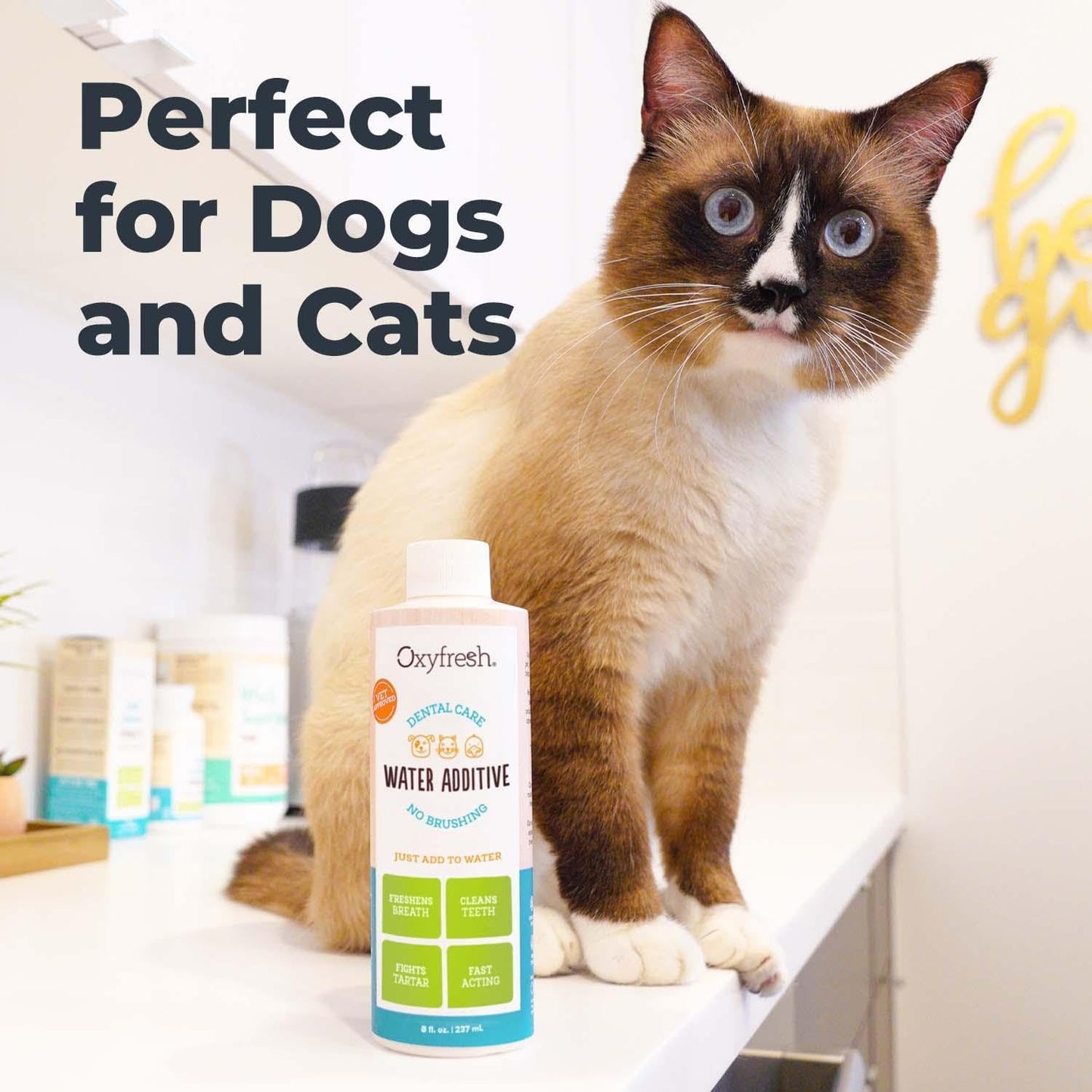 Premium Pet Dental Care Water Additive - Freshen Breath & Boost Oral Health in Dogs & Cats, Vet Recommended, 16 Oz