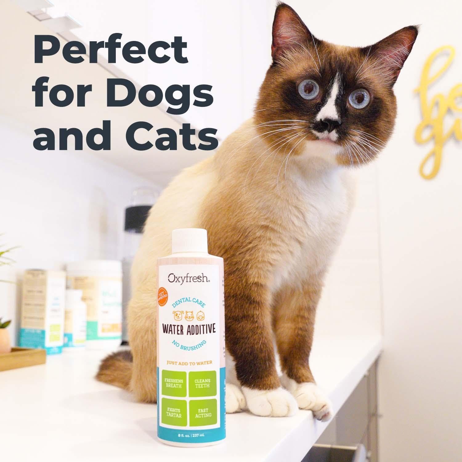 Premium Pet Dental Care Water Additive - Freshen Breath & Boost Oral Health in Dogs & Cats, Vet Recommended, 16 Oz