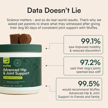 Wuffes Advanced Hip & Joint Chews for Dogs - Powerful Support with Glucosamine, Chondroitin & Omega 3 (Pack of 2, Small & Large Breed)