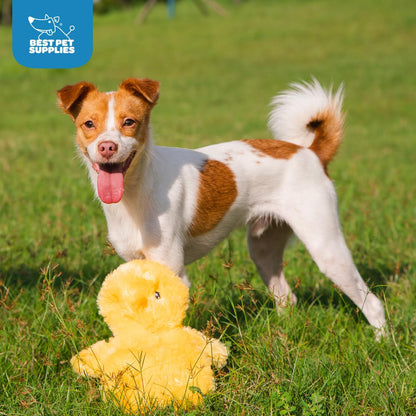 Interactive Squeaky Dog Chew Toy - Crinkle Chicken
