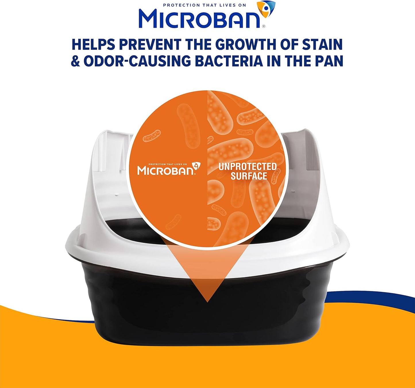 Arm & Hammer Rimmed Cat Litter Box - High-Sided Design with Odor Protection, Perfect for Indoor Cats