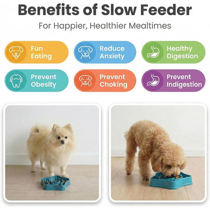 Pet Slow Feeder Bowl for Small Dogs 