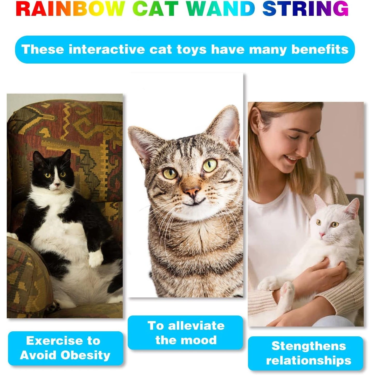 Professional Interactive Cat Wand Toy Set - Colorful Teaser Wands for Indoor Cats, Rainbow Ribbon Kitten Charmer - 2 Pack