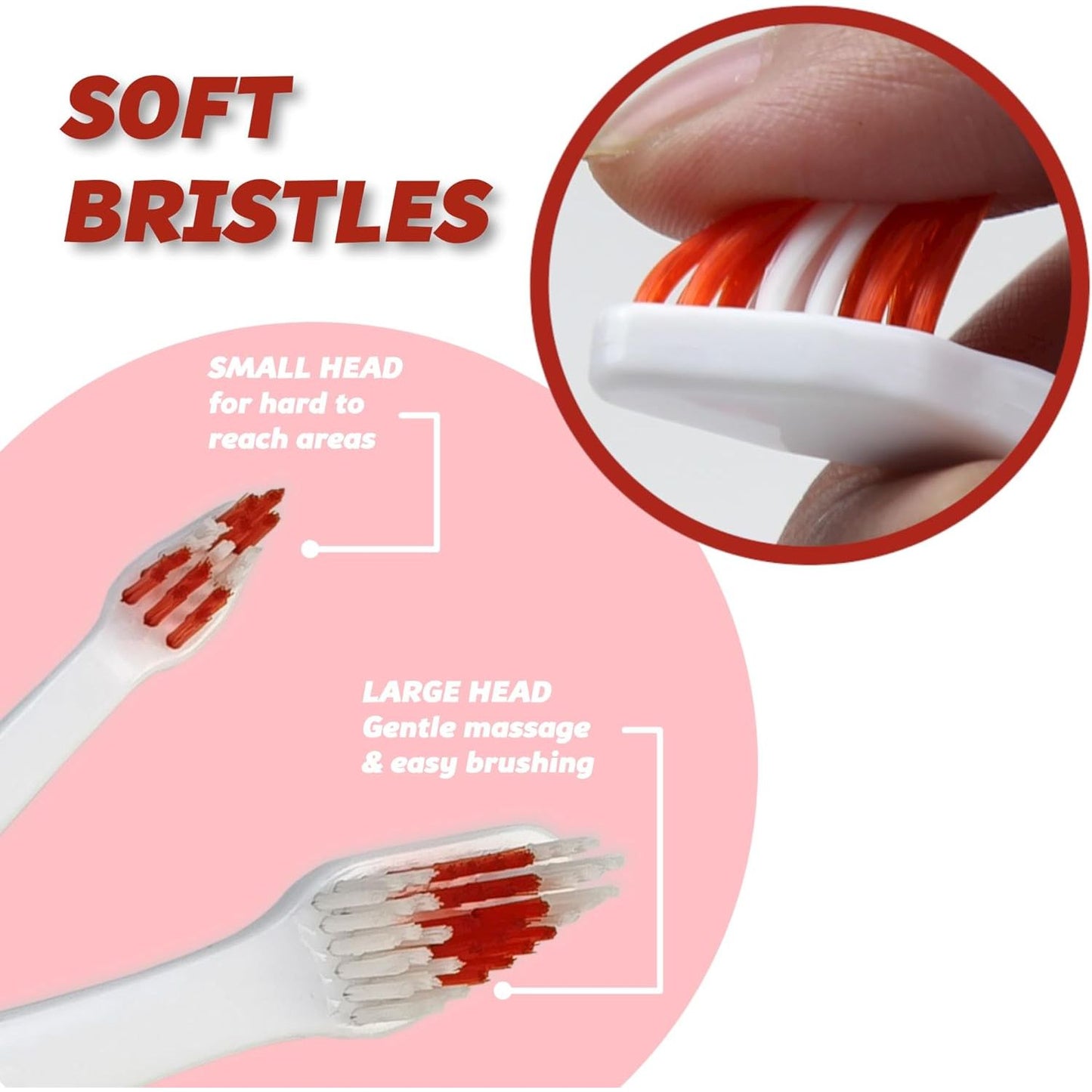 Professional Pet Toothbrush for Dogs and Cats with Soft Bristles 