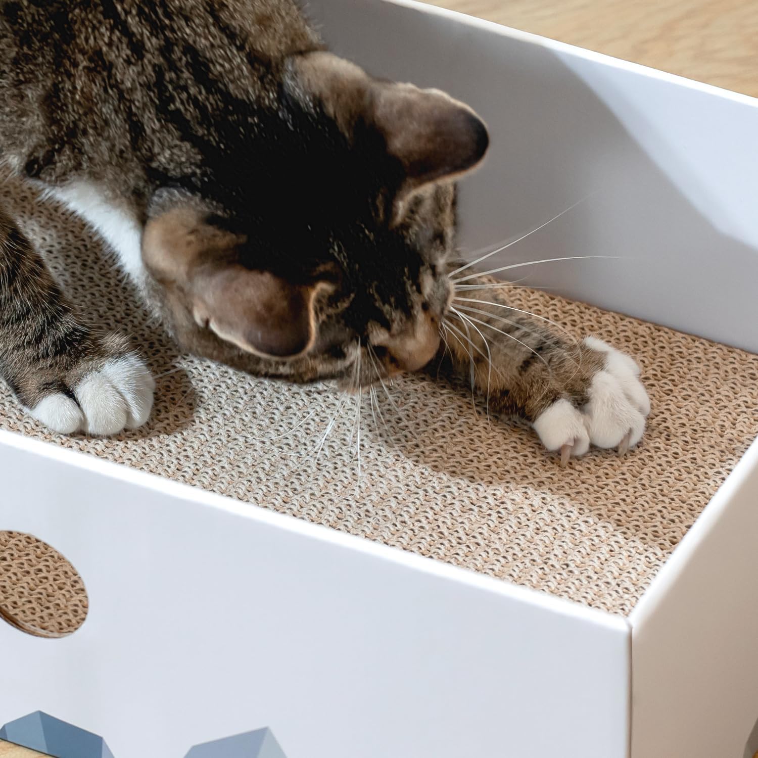 Heavy-Duty Double-Sided Cardboard Cat Scratcher Box and Lounger with Interactive Hole Design, Large Indoor Cat Bed