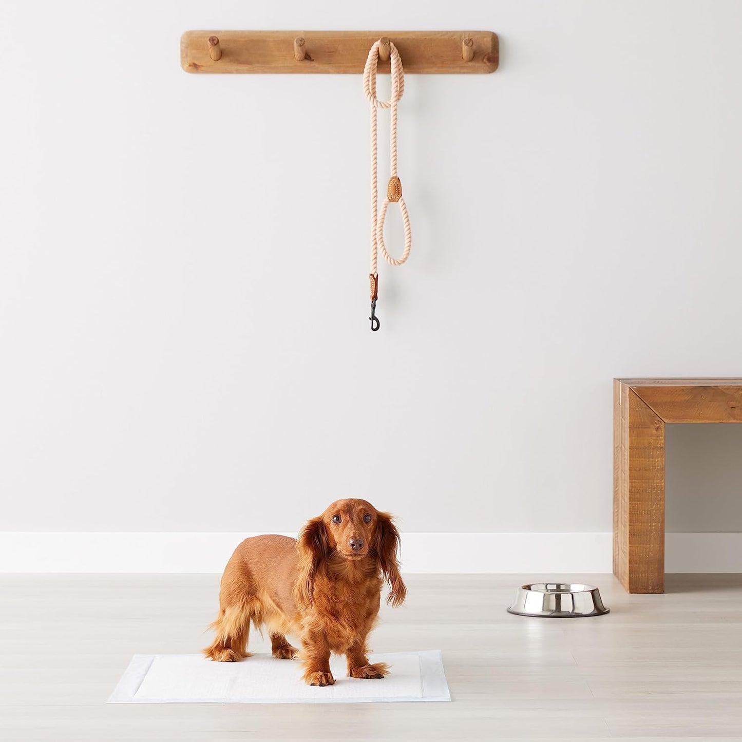 Amazon Basics Leak-Proof Super Absorbent Dog and Puppy Training Pads, 5-Layer Quick-Dry Solution, Regular Size (22x22"), 50 Count, Blue & White