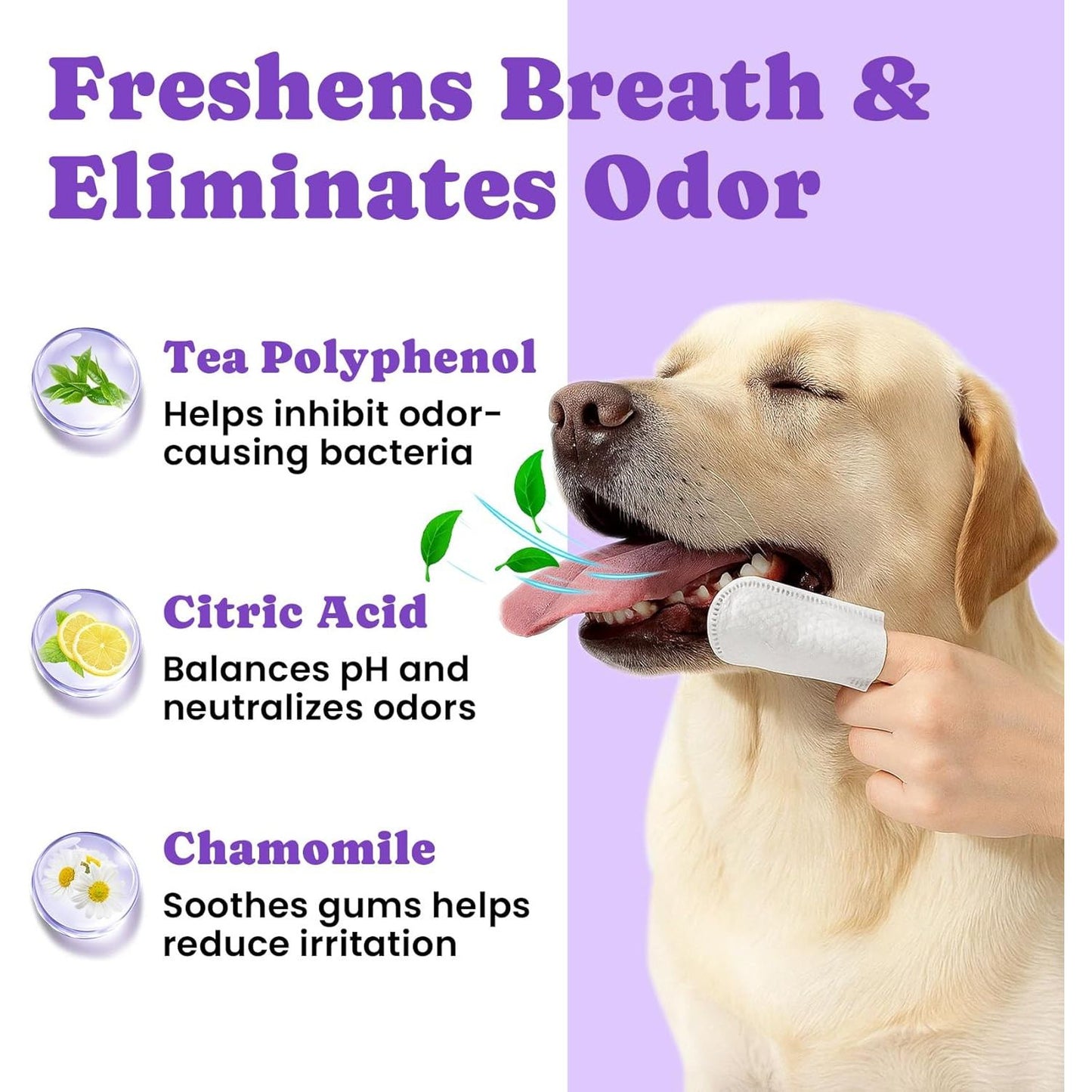 No-Rinse Dog Dental Care Wipes, Cat & Dog Tooth Brushing Kit, Dog Wipes for Pet & Cat Teeth Cleaning, Dog Toothbrush Finger Dental Wipes to Remove Plaque & Tartar, Disposable Dog Wipes - 50 Count