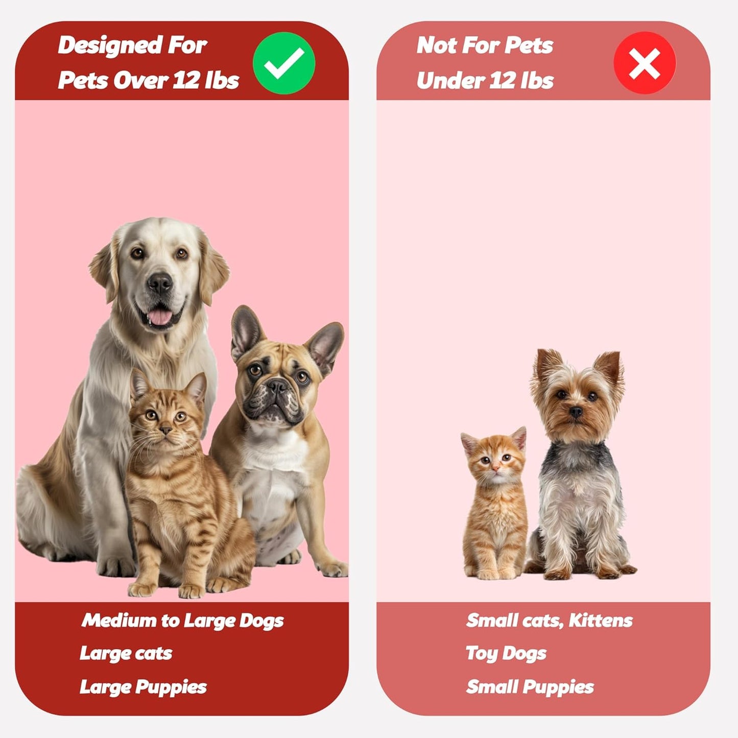 Professional Pet Toothbrush for Dogs and Cats with Soft Bristles 